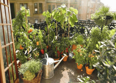 Urban Gardening Malaysia 2025: Growing Green in Small Spaces